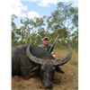 Image 2 : 5-day Australia Water Buffalo Hunt for One Hunter and One Observer