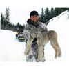 Image 2 : 7-day British Columbia Canadian Lynx Hunt for One Hunter