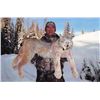 Image 3 : 7-day British Columbia Canadian Lynx Hunt for One Hunter