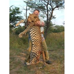 14-day Namibian Leopard Hunt and Taxidermy Credit for One Hunter and One Observer