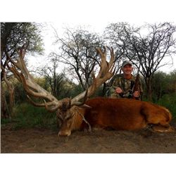 10-day Argentina Red Stag and Boar Hunt with Dove and Pigeon Shooting for Two Hunters