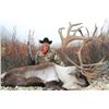 Image 2 : Hunt Three World Class Hunting Destinations with Jim Shockey Filmed for Television