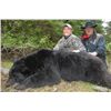 Image 3 : Hunt Three World Class Hunting Destinations with Jim Shockey Filmed for Television