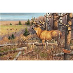 Original Oil Painting