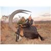 Image 2 : 21-day Tanzania Big Game Safari for One Hunter and One Observer