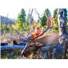 Image 1 : 5-day Colorado Elk and Pronghorn Hunt for Two Hunters