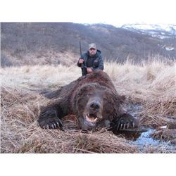 8-day Alaska Peninsula Brown Bear Hunt for One Hunter