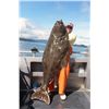 Image 1 : 4-day/5-night Alaska Fresh/saltwater Fishing Package for Four Anglers