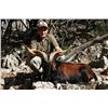 Image 1 : 7-day Luxury Boat Trip Along the Mallorca Coast in Spain For Two Hunters and Two Observers