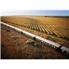 Image 1 : 8-day South Africa Luxury Train Trip with Wild Game Bird Shoots for One Hunter and One Observer