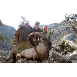 10-day Turkey Bezoar Ibex and Eurasian Wild Boar Hunt for One Hunter and One Observer