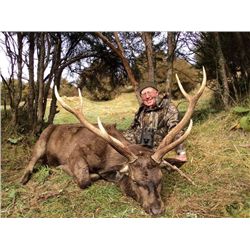 5-day New Zealand Sambar and Sika Deer Hunt for Two Hunters