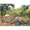 Image 1 : 10-day South Africa Cape Buffalo Hunt and Taxidermy Credit for One Hunter and One Observer