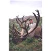Image 1 : 7-day Northwest Territories Mountain Caribou Hunt for One Hunter