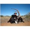 Image 1 : 7-day South Africa Sable Hunt for One Hunter and One Observer