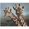 Image 1 : Original Oil on Canvas by Maxine Bone