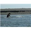 Image 2 : 5-day/4-night Alaska Salmon and Trout Fishing Trip for Two Anglers