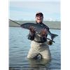 Image 3 : 5-day/4-night Alaska Salmon and Trout Fishing Trip for Two Anglers