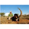 Image 2 : 7-day South Africa Sable Hunt for One Hunter and One Observer