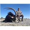 Image 3 : 7-day South Africa Sable Hunt for One Hunter and One Observer