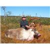Image 1 : 6-day Newfoundland Eastern Canada Moose and Woodland Caribou Hunt for One Hunter