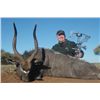 Image 1 : 12-day South African Archery Plains Game Hunt for Two Hunters and Two Observers