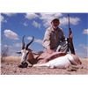 Image 2 : 7-day Namibia Plains Game Hunt for Two Hunters