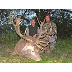 5-day Argentina Red Deer, Blackbuck, Multi-horn Sheep and Dove Hunt for 3 Hunters