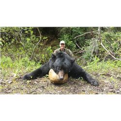 5-day British Columbia Black Bear Hunt for Two Hunters