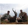 Image 3 : 7-day South African Plains Game Hunt for Two Hunters