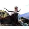 Image 2 : 2 1/2-day Hawaii Free-Range Trophy Axis Deer & Feral Goat Combo Package for One Hunter and One Obser