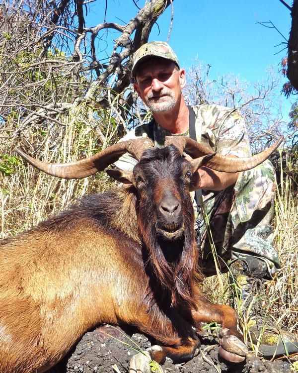 2 1/2-day Hawaii Free-Range Trophy Axis Deer & Feral Goat Combo Package ...