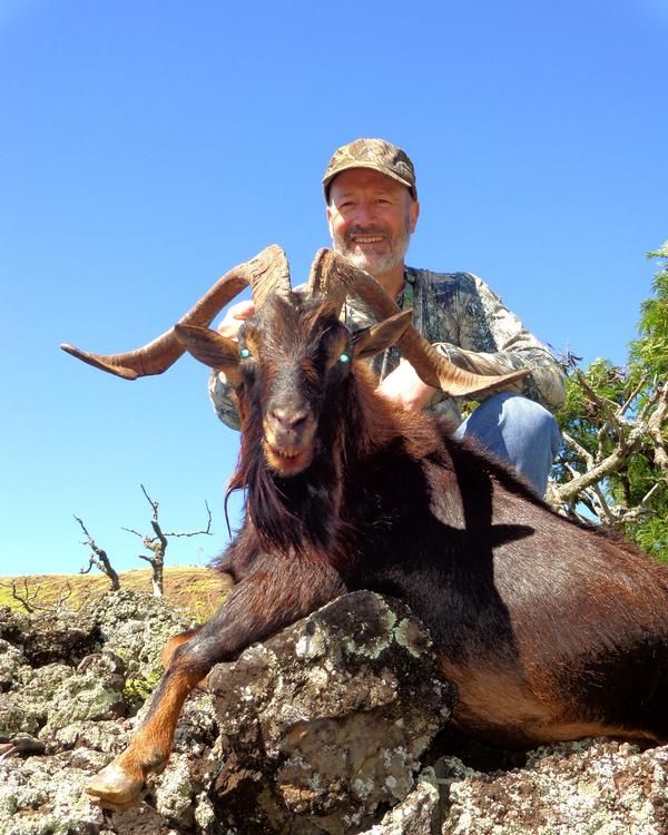 2 1/2-day Hawaii Free-Range Trophy Axis Deer & Feral Goat Combo Package ...