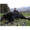 Image 1 : 7-day Alaskan Black Bear Hunt for One Hunter
