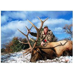 5-day New Mexico Rocky Mountain Elk Hunt for One Hunter