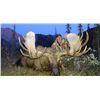 Image 1 : 10-day British Columbia Moose, Mtn Goat and Caribou Hunt for One Hunter