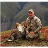 Image 1 : 20-day British Columbia Stone Sheep, Grizzly, Moose, Mtn Goat, Caribou and Wolf Hunt for One Hunter