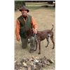 Image 2 : 5-day Argentina Duck, Dove, Pigeon and Partridge Hunt for Eight Hunters