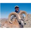 Image 1 : 5-day Pakistan Afghan Urial Hunt for One Hunter