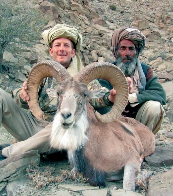 Pakistan Hunter 5-day Pakistan Afghan Urial Hunt for One Hunter