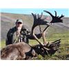 Image 1 : 7-day Alaska Barren Ground Caribou and Wolf Hunt for Two Hunters