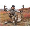 Image 2 : 7-day Alaska Barren Ground Caribou and Wolf Hunt for Two Hunters