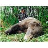 Image 1 : 7-day Alaska Grizzly Bear Hunt and Silver Salmon Fishing for One Hunter and One Observer
