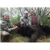 Image 2 : 7-day Alaska Grizzly Bear Hunt and Silver Salmon Fishing for One Hunter and One Observer