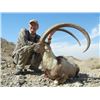 Image 2 : 5-day Pakistan Sind Ibex Hunt for One Hunter