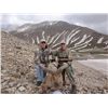 Image 2 : 5-day Azerbaijan hunt for Dagestan (Eastern) Tur for one hunter