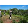 Image 1 : 5-day Argentina Dove Shoot for Six Hunters