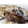 Image 2 : 6-day New Zealand Gold-Medal Red Stag and Tahr Hunt for Two Hunters