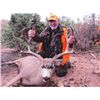 Image 1 : 7-day Colorado Mule Deer, Elk and Black Bear Combo Hunt for Two Hunters