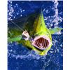 Image 5 : 3-day/4-night Guatemala Sailfish, Marlin, Yellow-fin Tuna and Mahi-mahi for Two Anglers